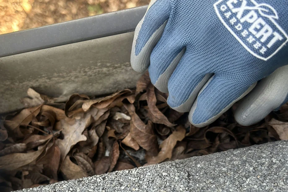 Gutter Cleaning East Beach