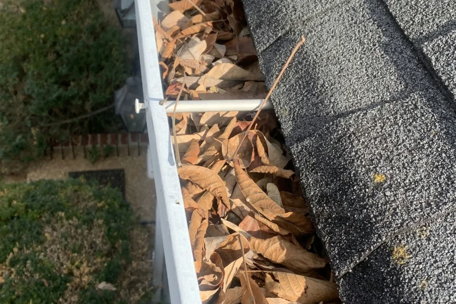 Gutter Cleaning East Beach