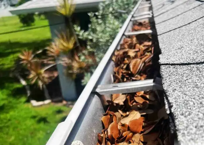 Gutter Cleaning East Beach home page